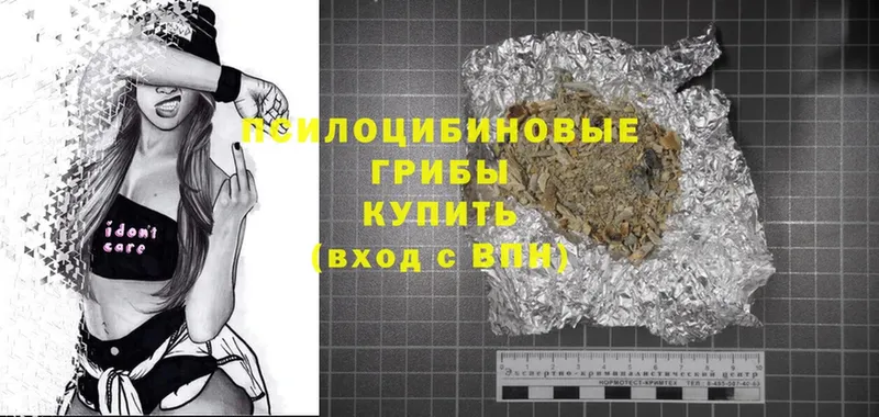 Галлюциногенные грибы Psilocybine cubensis  купить закладку  OMG онион  Воркута 